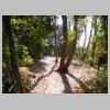 DSCN9702.JPG