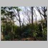 DSCN9708.JPG