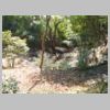 DSCN9710.JPG