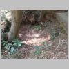 DSCN9712.JPG