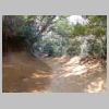 DSCN9719.JPG