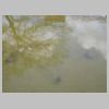 DSCN9785.JPG