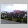DSCN9790.JPG