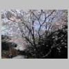DSCN0364.JPG