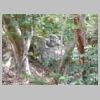 DSCN0428.JPG