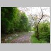 DSCN0557.JPG