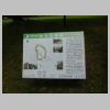 DSCN0567.JPG