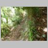 DSCN0578.JPG