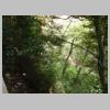 DSCN0580.JPG