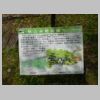 DSCN0583.JPG