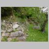 DSCN0585.JPG