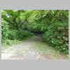 DSCN0586.JPG