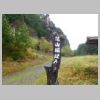 DSCN0670.JPG