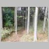 DSCN0673.JPG