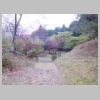 DSCN0682.JPG