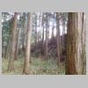 DSCN0688.JPG