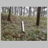 DSCN0700.JPG