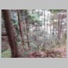 DSCN0662.JPG