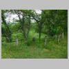 DSCN0771.JPG