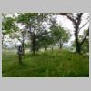 DSCN0780.JPG