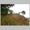 DSCN0781.JPG