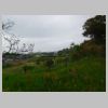 DSCN0782.JPG