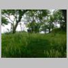 DSCN0785.JPG