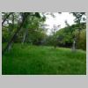 DSCN0788.JPG
