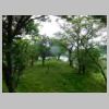 DSCN0796.JPG