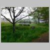 DSCN0807.JPG