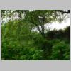 DSCN1051.JPG