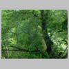 DSCN1054.JPG