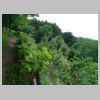 DSCN1056.JPG