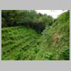 DSCN1061.JPG