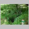 DSCN1079.JPG