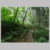 DSCN1188.JPG