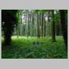 DSCN1193.JPG