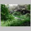 DSCN1205.JPG
