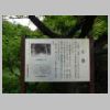 DSCN8401.JPG