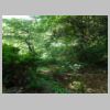DSCN8407.JPG