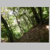 DSCN8420.JPG