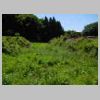 DSCN8597.JPG