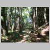 DSCN8608.JPG