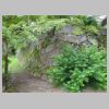 DSC00397.JPG