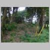 DSC01055.JPG