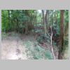 DSC01065.JPG