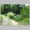DSC01117.JPG