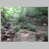 DSC01119.JPG