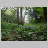 DSC01150.JPG