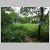 DSC01159.JPG